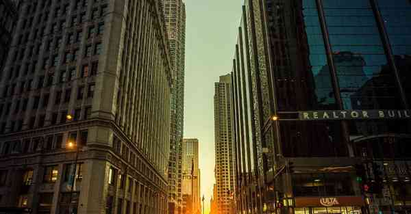 外国语单招大数据的行业文章