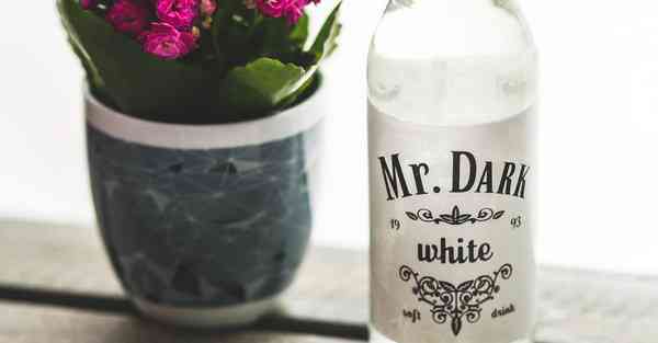 chatgpt翻译算不算抄袭