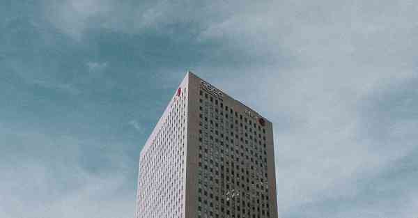 外国语单招大数据的行业文章