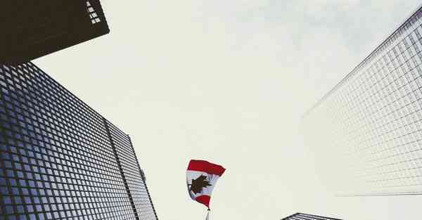 大数据信息系统平台