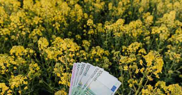 本科数据与大数据：数据时代的转折点