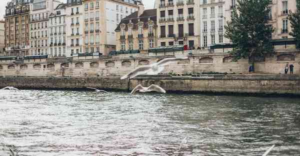 大数据助力茶叶