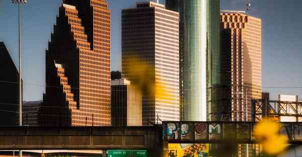 外国语单招大数据的行业文章