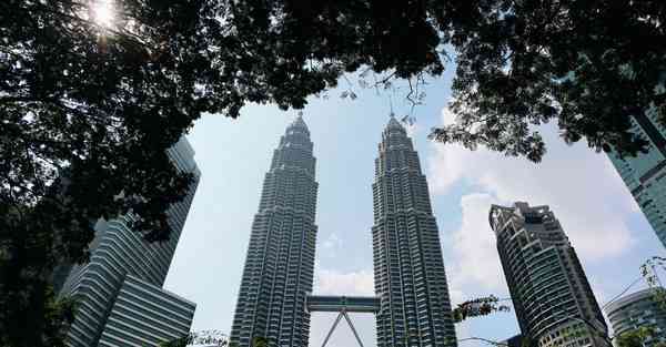 大数据影视软件